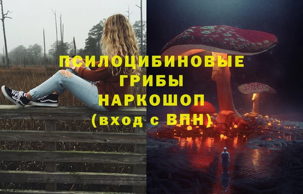 стаф Семёнов