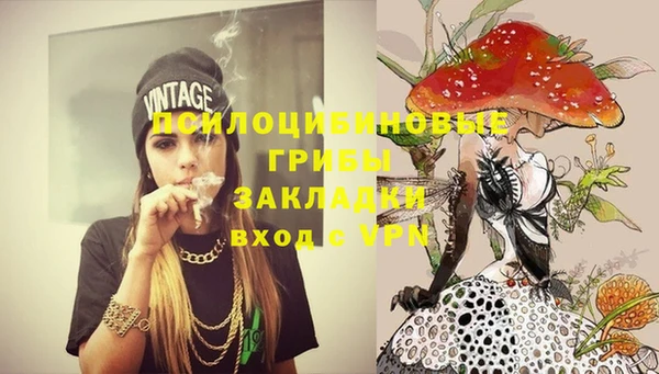 стаф Семёнов