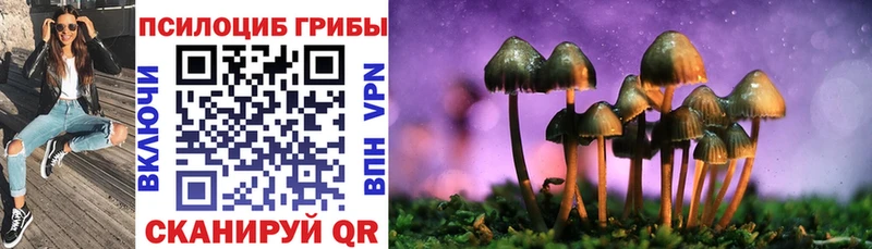 Псилоцибиновые грибы Psilocybine cubensis  Беломорск 